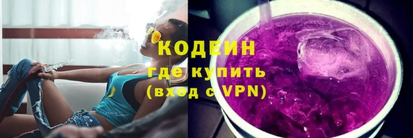 дживик Богородск