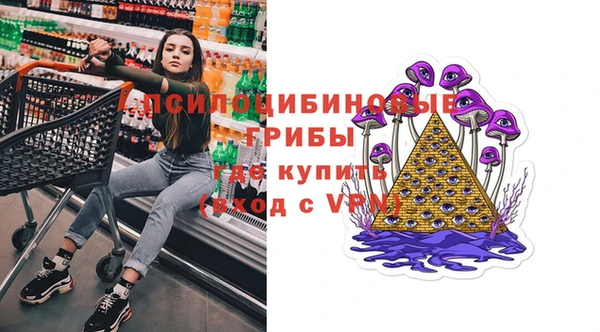 дживик Богородск