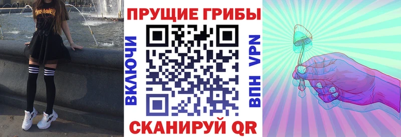 Галлюциногенные грибы Psilocybe  Купить закладки  Калининск 